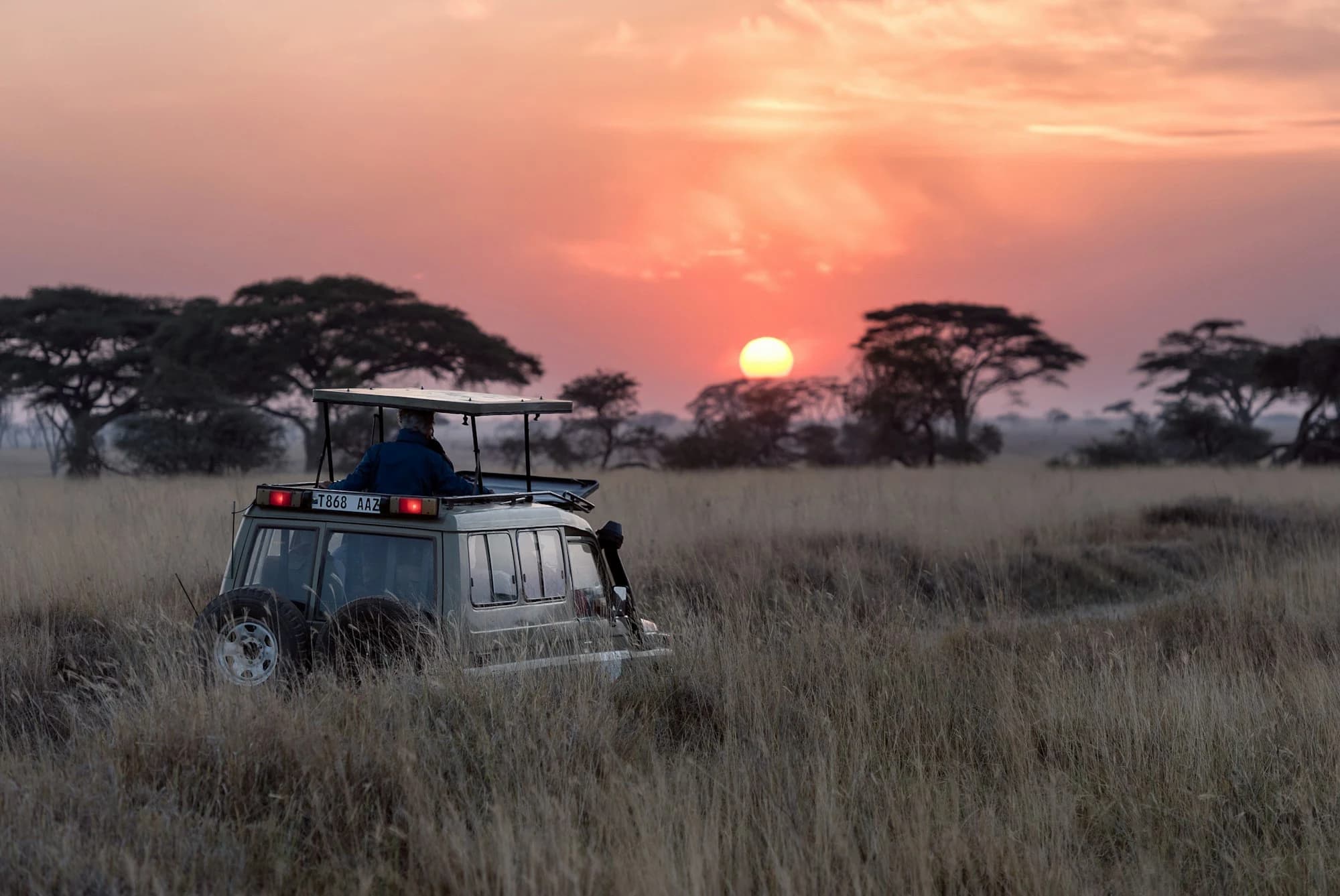 The Great Migration Private Safari