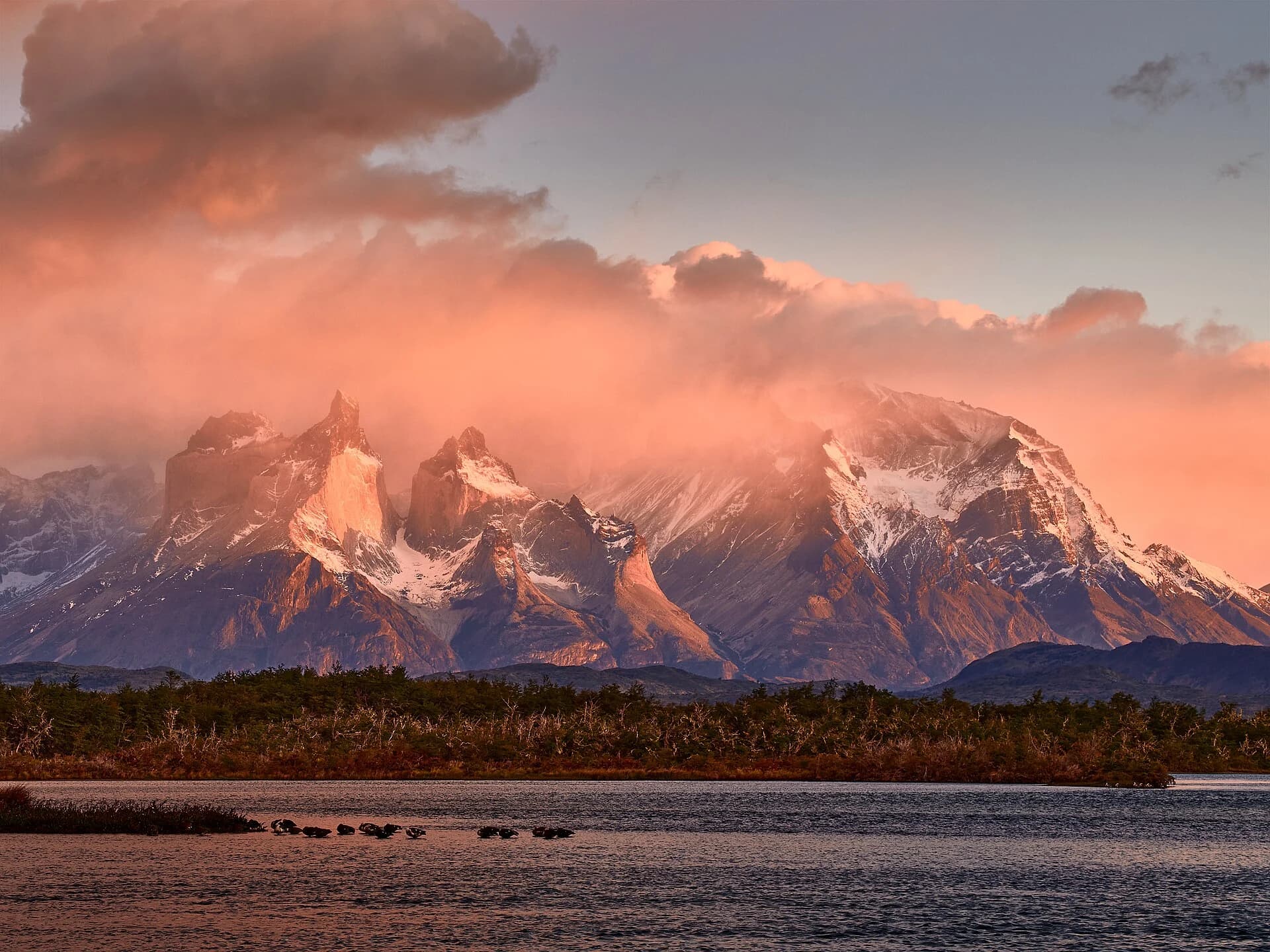 Sunrise light on the Cuernos del Paine, Torres del Paine, Patagonia